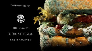 Burger King’s new ads find beauty in a moldy Whopper